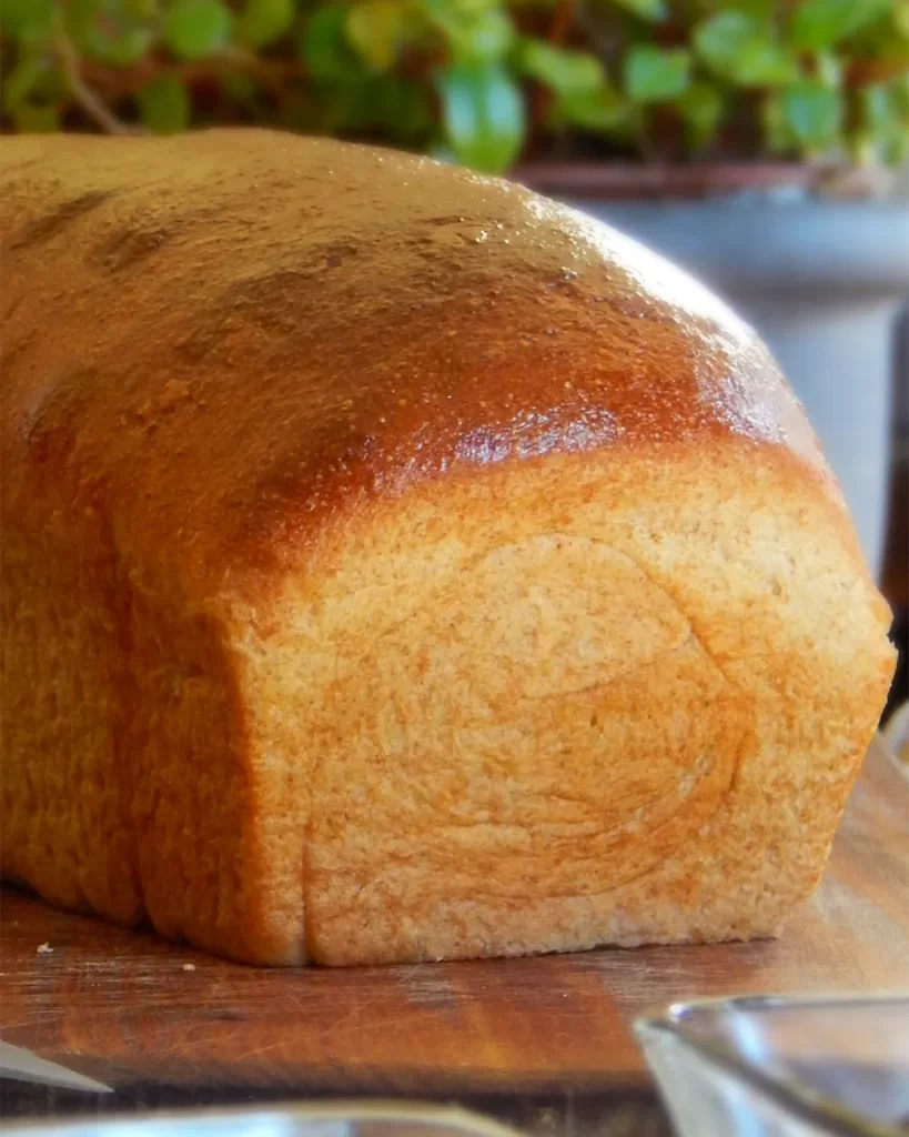 pan de molde integral