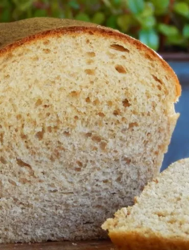 pan integral molde lactal