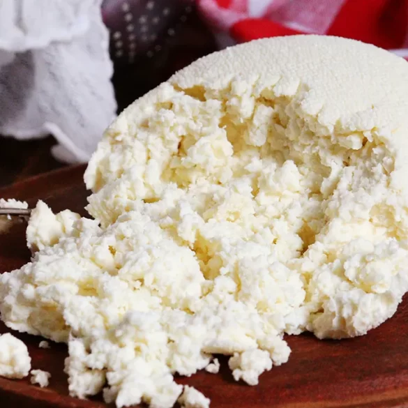 ricota casera facil pocos ingredientes
