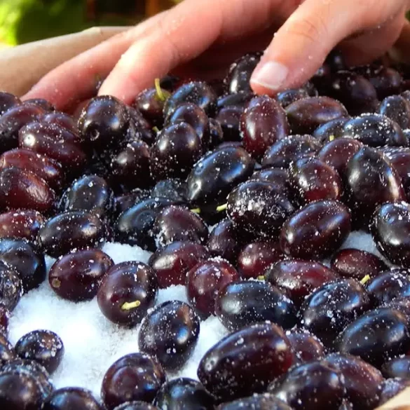 aceitunas negras curadas griegas sal caseras