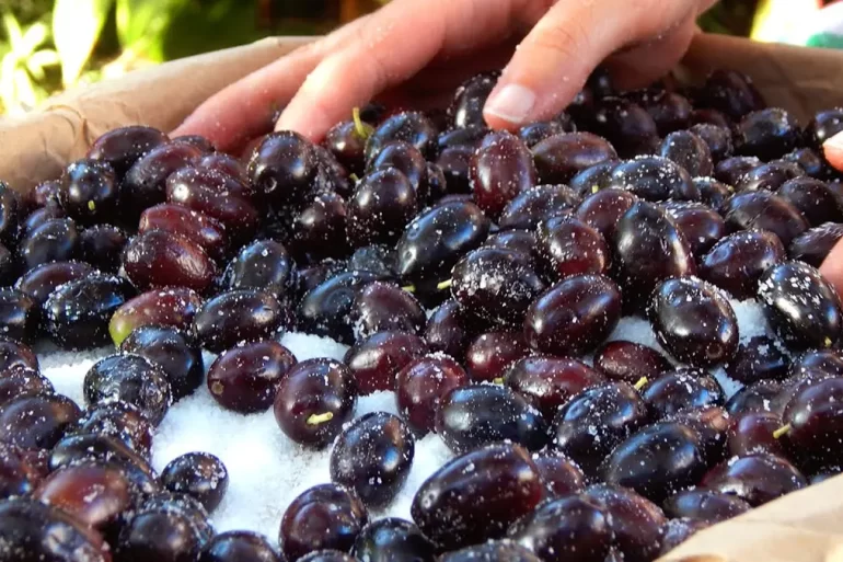 aceitunas negras curadas griegas sal caseras