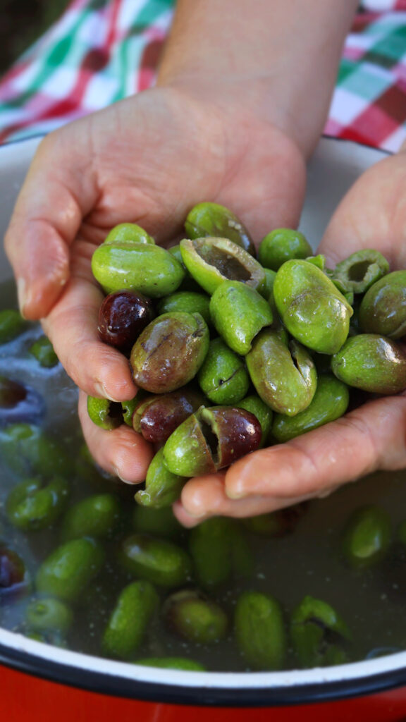 curar aceitunas verdes olive schiacciate