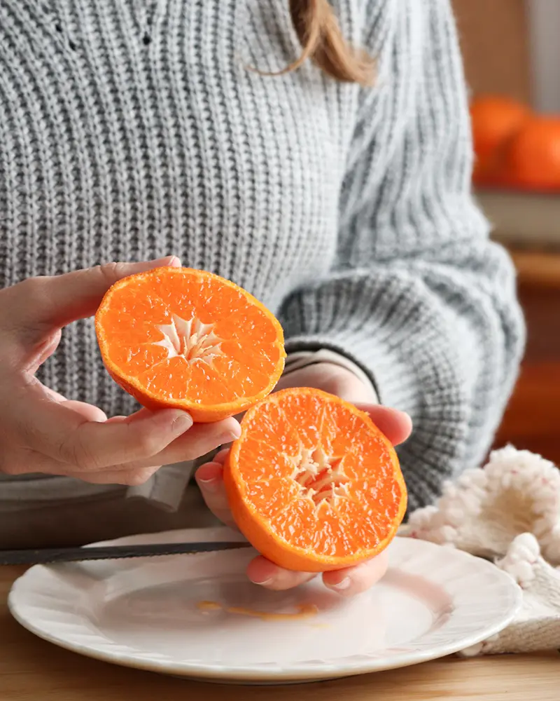 budin de mandarina licuadora facil rapido receta