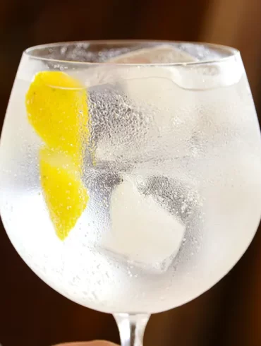 gin tonic receta como se prepara