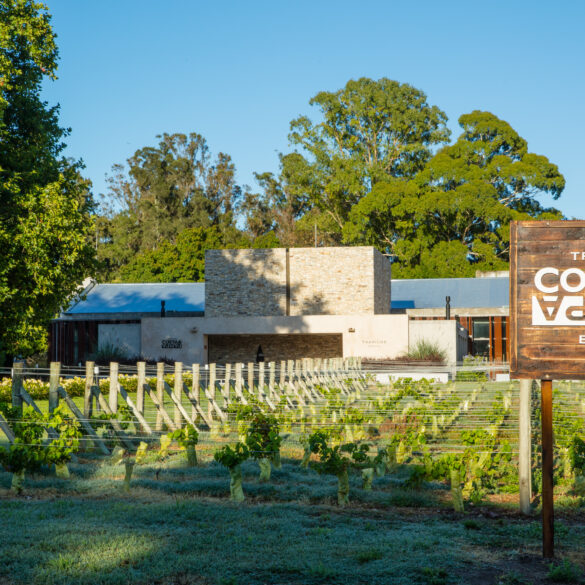 bodega trapiche verano 2024 costa atlantica argentina