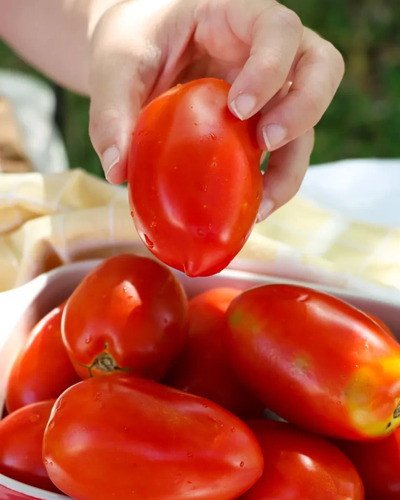 tomate perita para tomates secos
