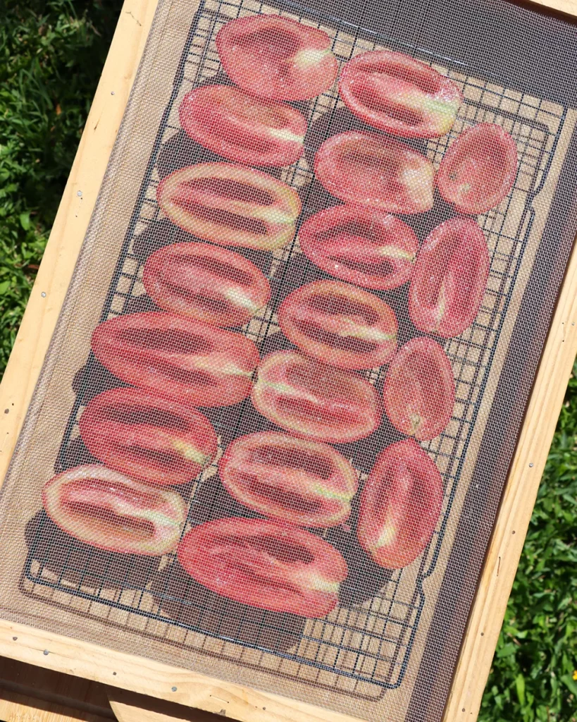 tomates secos al sol como hacer