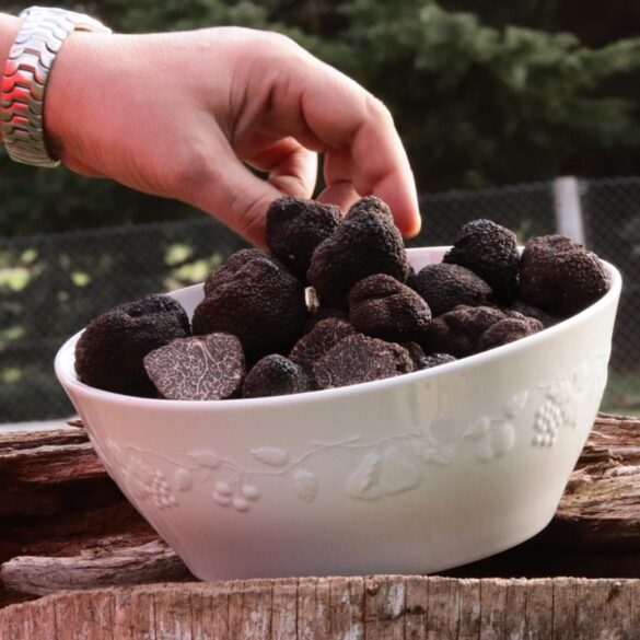 agustin lagos productor de trufas negra argentina