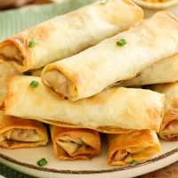 arrolladitos primavera masa brick