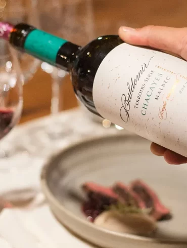 mapa del vino martino wines floresta