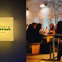 funga popup diciembre