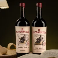 el psicoanalista wines